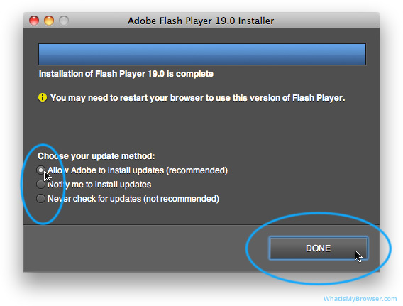 adobe flash player download free for mac os x